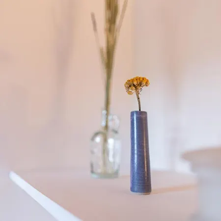 Studio Cocon Sous Les Toits De Jaures Belfort Exterior photo