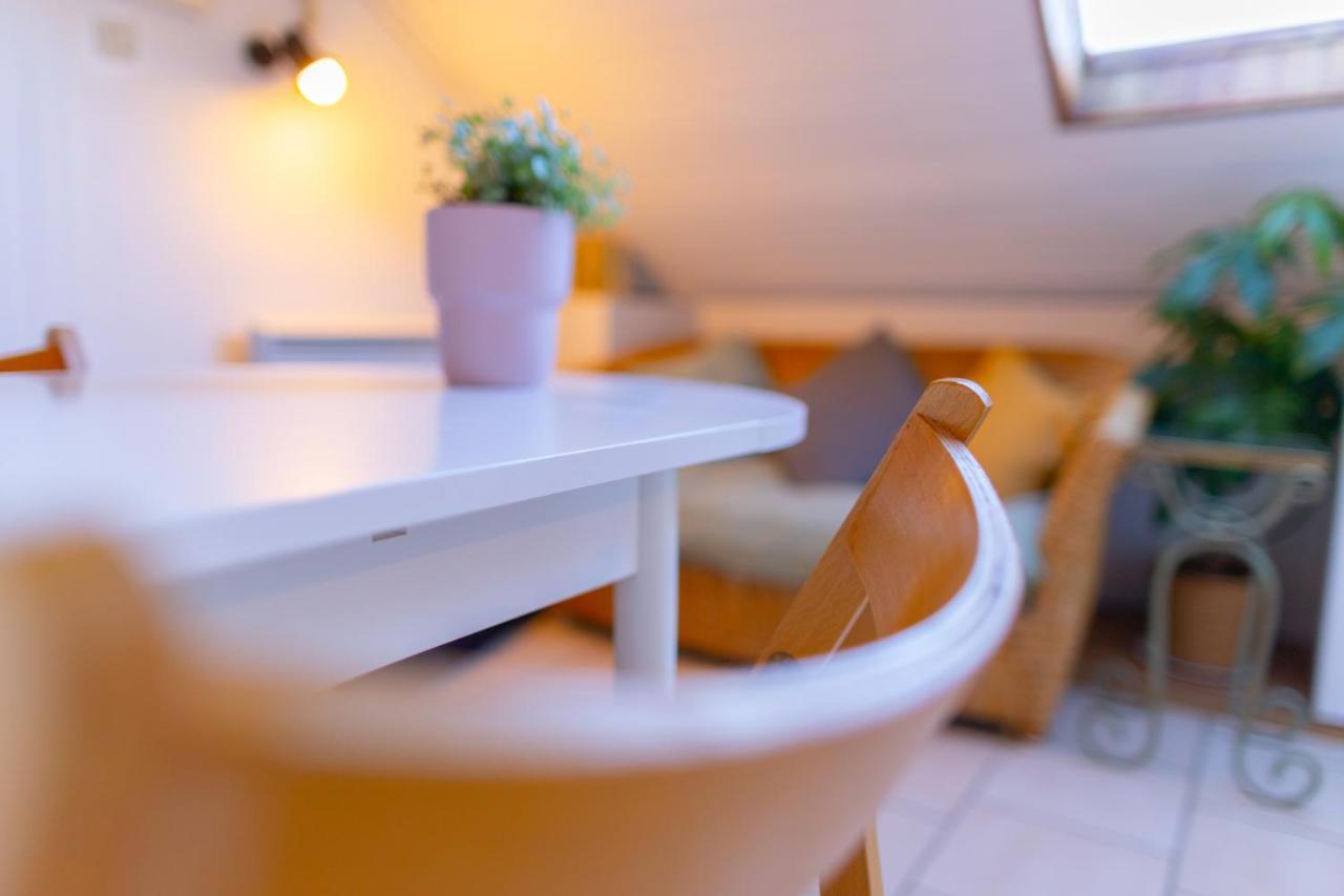 Apartment Cocon Sous Les Toits De Jaures *
