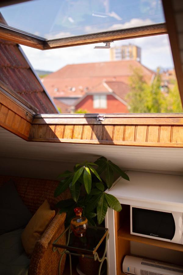 Apartment Cocon Sous Les Toits De Jaures *
