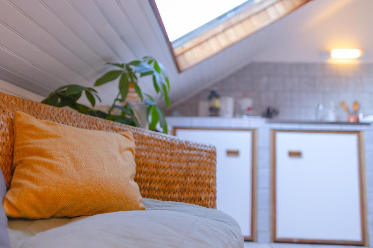 Apartment Cocon Sous Les Toits De Jaures *
